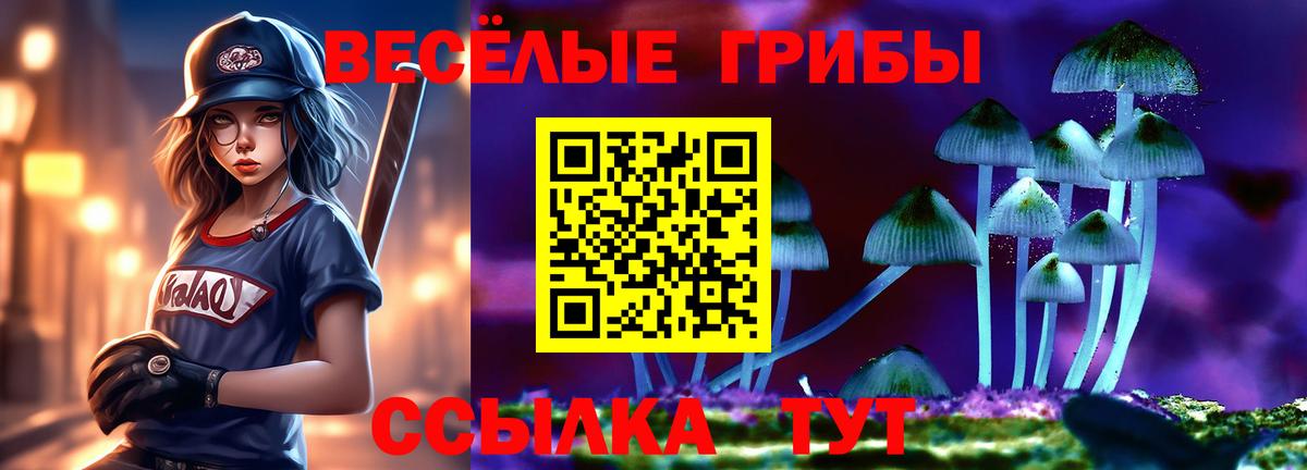 Галлюциногенные грибы Psilocybe Павловский Посад